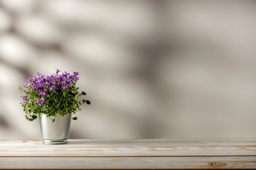 Fotomurales - Desk of free space and fresh spring flowers.Wall with shadows and copy space for your decoration. 