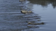 Stepping Stones On The River Ewenny At Ogmore Castle Ogmore South Wales
