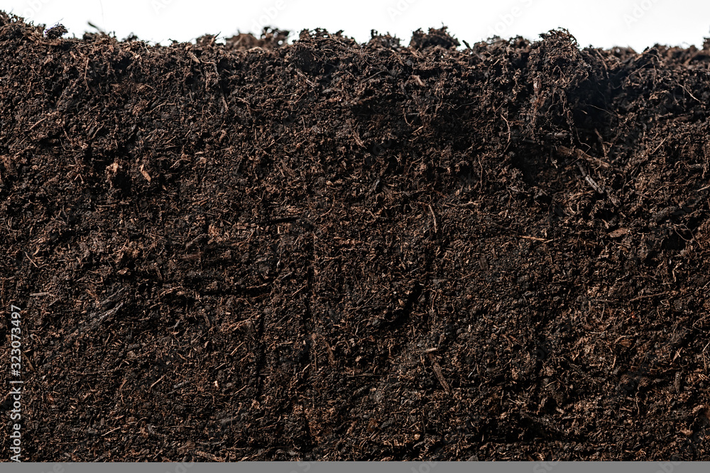Soil or dirt section isolated on white background - obrazy, fototapety, plakaty 
