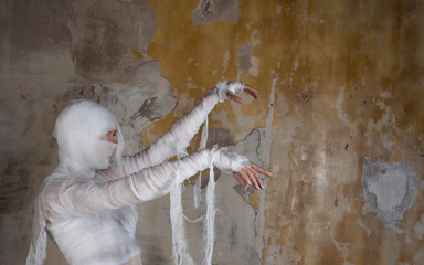 Wall Mural - Halloween image, mummy in bandages, risen dead legendary character.