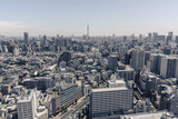 Fototapeta Londyn - aerial cityscape view of tokyo in clear weather 