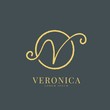 Simple elegant vector logo handwritten letter V. Fashion logo template. veronica logotype. eps10