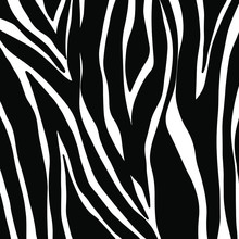 Zebra Seamless Pattern