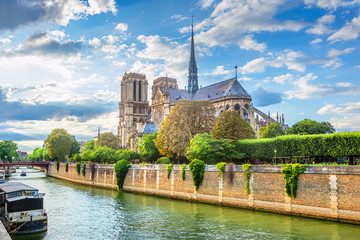 Wall Mural - notre dame de paris