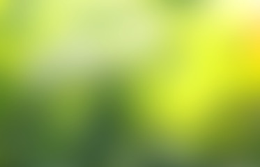 Wall Mural - green leaf background yellow, blurry leaves bokeh circles from light shining through as a background