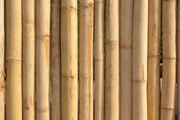 Old bamboo fence For background texture