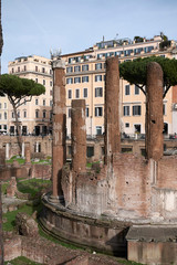 Wall Mural - Rome, Italy - February 03, 2020 : View of the sacred area of Largo Argentina