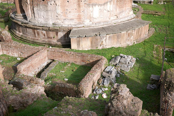 Wall Mural - Rome, Italy - February 03, 2020 : View of the sacred area of Largo Argentina