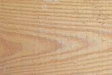 Surface And Pattern Of Freshly Sawn Wood Board