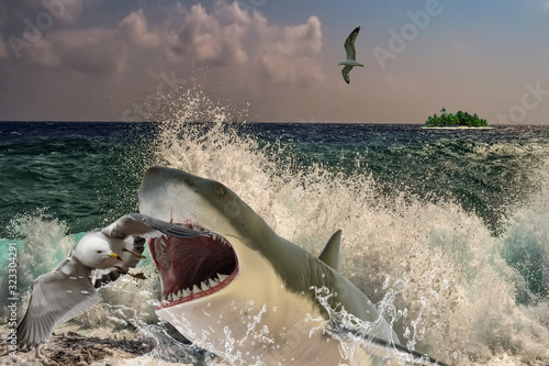 Attack of a great white shark on an albatross Poster Mural XXL
