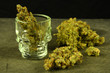 Marijuana Buds in glass skull shot glass
