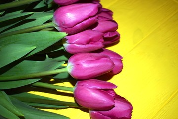 Wall Mural - Bouquet of tulips on a wooden background