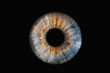 © Lorant - human iris on black background