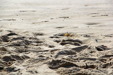 Canvas Print - Sand