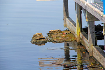 Canvas Print - Water