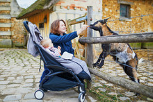 Woman With Her Little Baby Girl In Stroller Feeding Goat On A Farm Or In Z