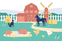 Farm With Animals At Summer Time. Farmland With Barn And Wind Mill, Dog, Horse, Pigs Lying In Puddle And Birds Chicken With Chicks And Ducks Walking On Green Field. Cartoon Flat Vector Illustration