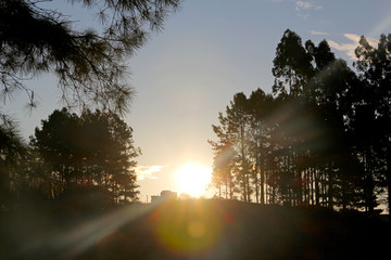 Wall Mural - Sunset