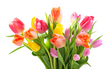 Bouquet Of Colorful Tulips On White Background