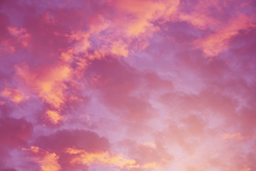 Wall Mural - Pink sky background of colorful.