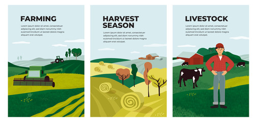 Wall Mural - Set of posters with farming, livestock, harvest season. Illustrations of hay, hayfield, agricultural landscapes, combine harvester and tractor on field. Farmer and cows on farm. Vector banner, cover.