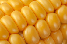 Corn Vegatable Closeup Background