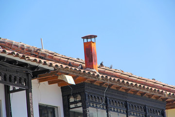 Canvas Print - Roof