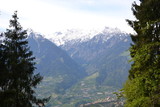 Fototapeta Tulipany - Spring Alpine ascent in Merano