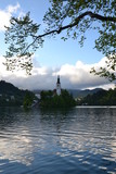 Fototapeta Tulipany - Various beauties of lake Bled