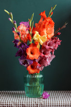 Lush Bouquet Of Colored Gladioli In A Glass Vase