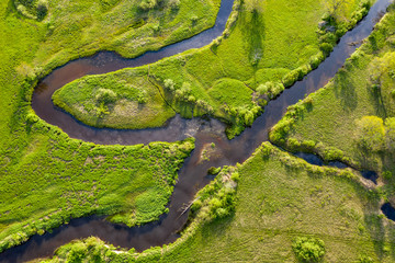 Wall Mural - Forest in summer colors. Green deciduous trees and winding blue river in sunset. Soomaa wooded meadow, Estonia, Europe