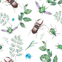 Watercolor Beetle And Plants Seamless Pattern. Hand Drawn Texture With Bud On White Background