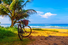 One Bicycle Is Standing On Beautiful Tropical Beach With Crystal Blue Water Near Palm Trees - Relaxing Pause Break In Paradise. Sri Lanka