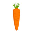 Orange carrot with green tops. Vegetable in the flat style
