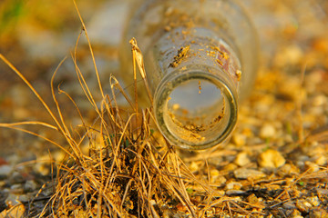 Wall Mural - Bottles on sand