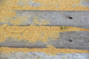 Canvas Print - Wood in sand