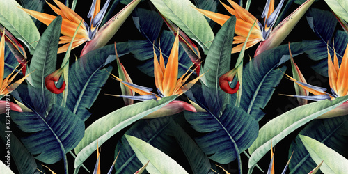 Seamless floral pattern with tropical leaves and strelitzia on red background Canvas Print