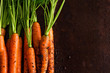 © Plate of Joy - Fresh carrots in the ground, on a rust background