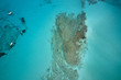 © Mindaugas - Amazing aerial drone top panoramic view on the famous Balos beach in Balos lagoon and pirate island Gramvousa. Place of the confluence of three seas. Balos beach, Chania. Crete island. Greece. Europe.