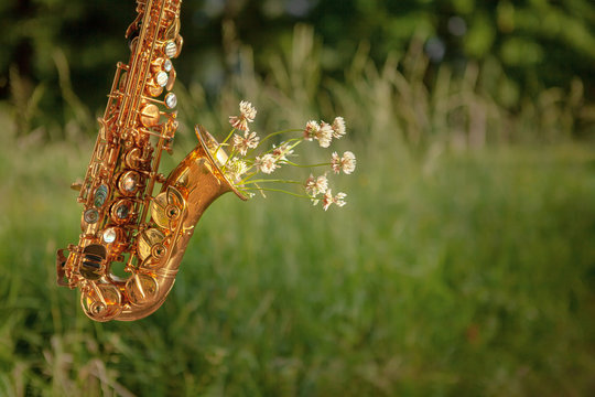 Wall Mural - golden beautiful saxophone with wildflowers on a background of greenery in the summer in the park, play in nature, favorite music