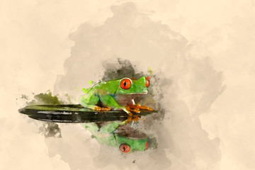 Digital watercolor painting of red eyed tree Boophis Luteus frog with blurred green background