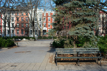 Wall Mural - Empty Bench at Tompkins Square Park in the East Village of New York City with Colorful Buildings in the background