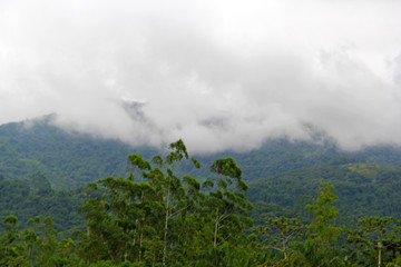 Clouds over mountains