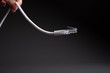 © FOTOWAWA - kabel RJ-45 internet
