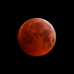 Wall Mural - lunar eclipse