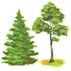 trees painted with paints and brush, isolate on a white background