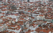 red rooftops of the city of nazare in portugal, top view