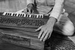 © Valmedia - Closeup of senior male shamanic hands playing indian musical instrument harmonium as sacred and kirtan music for peaceful meditation