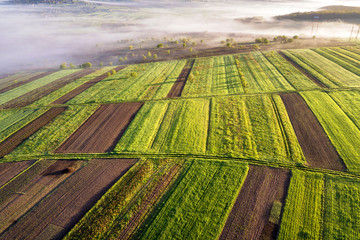 Agricultural landscape from air on sunny spring dawn. Green and brown fields, morning fog.