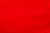 Fototapeta Miasto - Beautiful photo of red lipstick, texture of red lipstick on a white background.